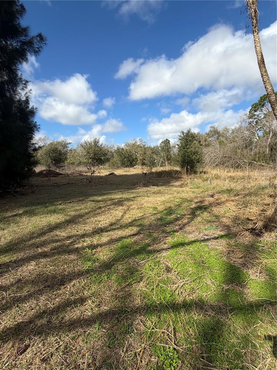 TALL PINES ESTATES - Residential