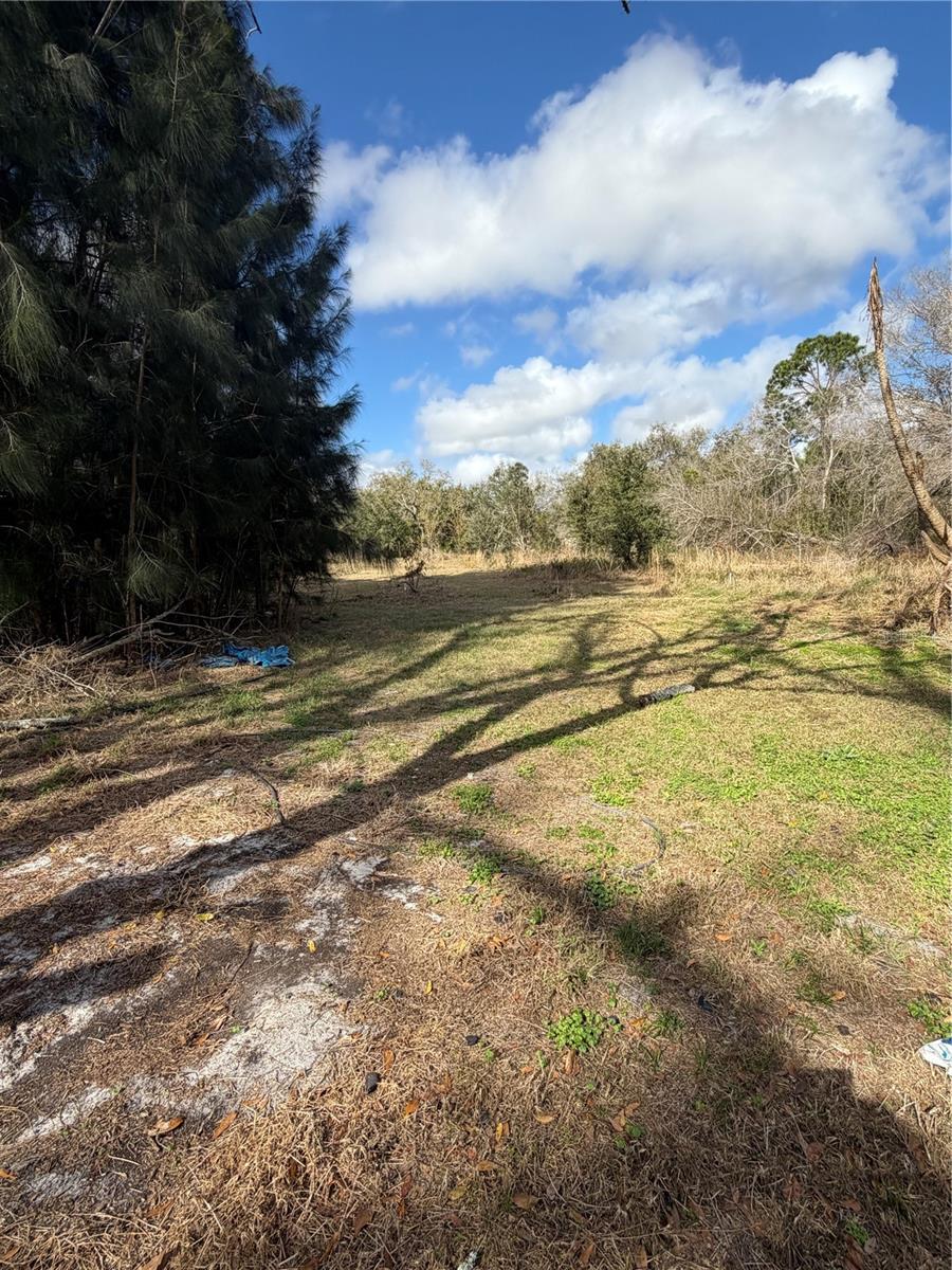 TALL PINES ESTATES - Residential