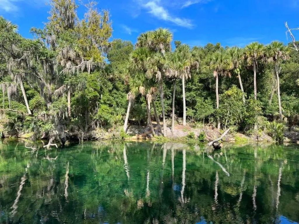 Photo of 1 Werley Trail, Deland, FL 32720 (MLS # TB8500265)