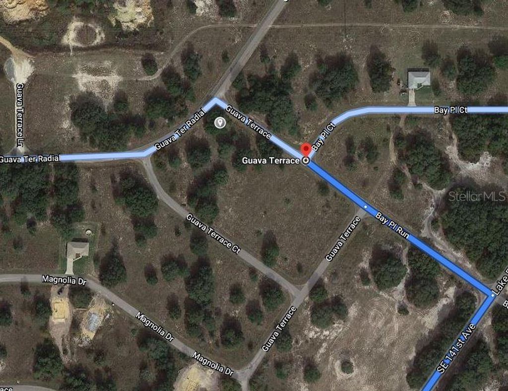 Photo of Guava Terrace, Ocklawaha, FL 32179 (MLS # OM625019)