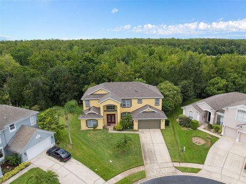 A home in KISSIMMEE