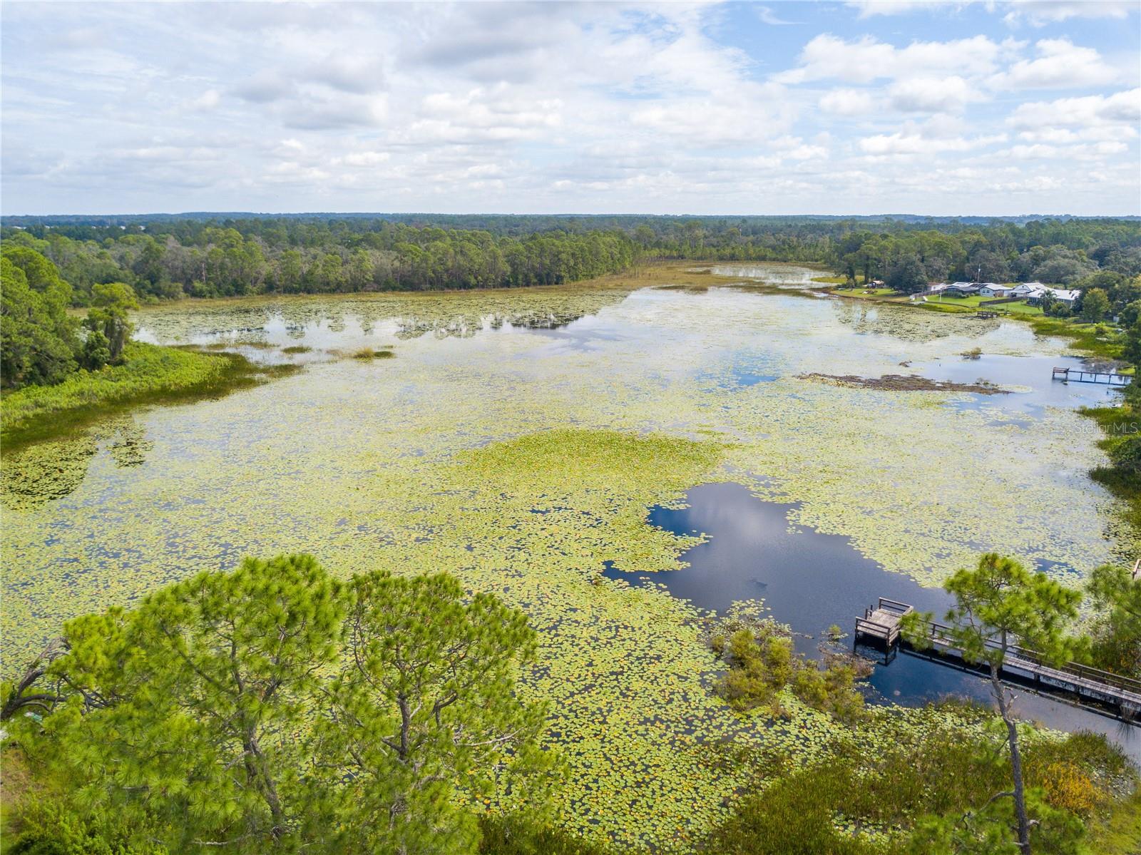 SILVER LAKE PARK - Residential