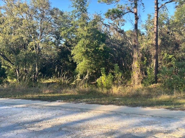 Photo 1 of 6 — 33193 EASTER DRIVE, WEBSTER, FL 33597