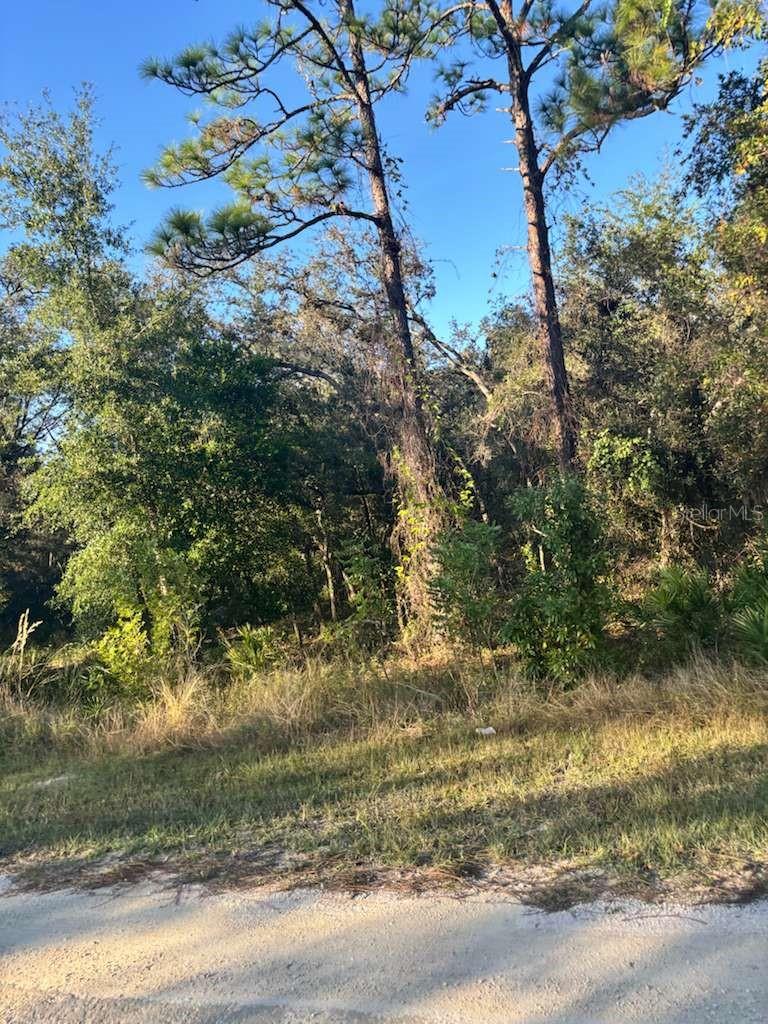 RIDGE MANOR ESTATE - Land