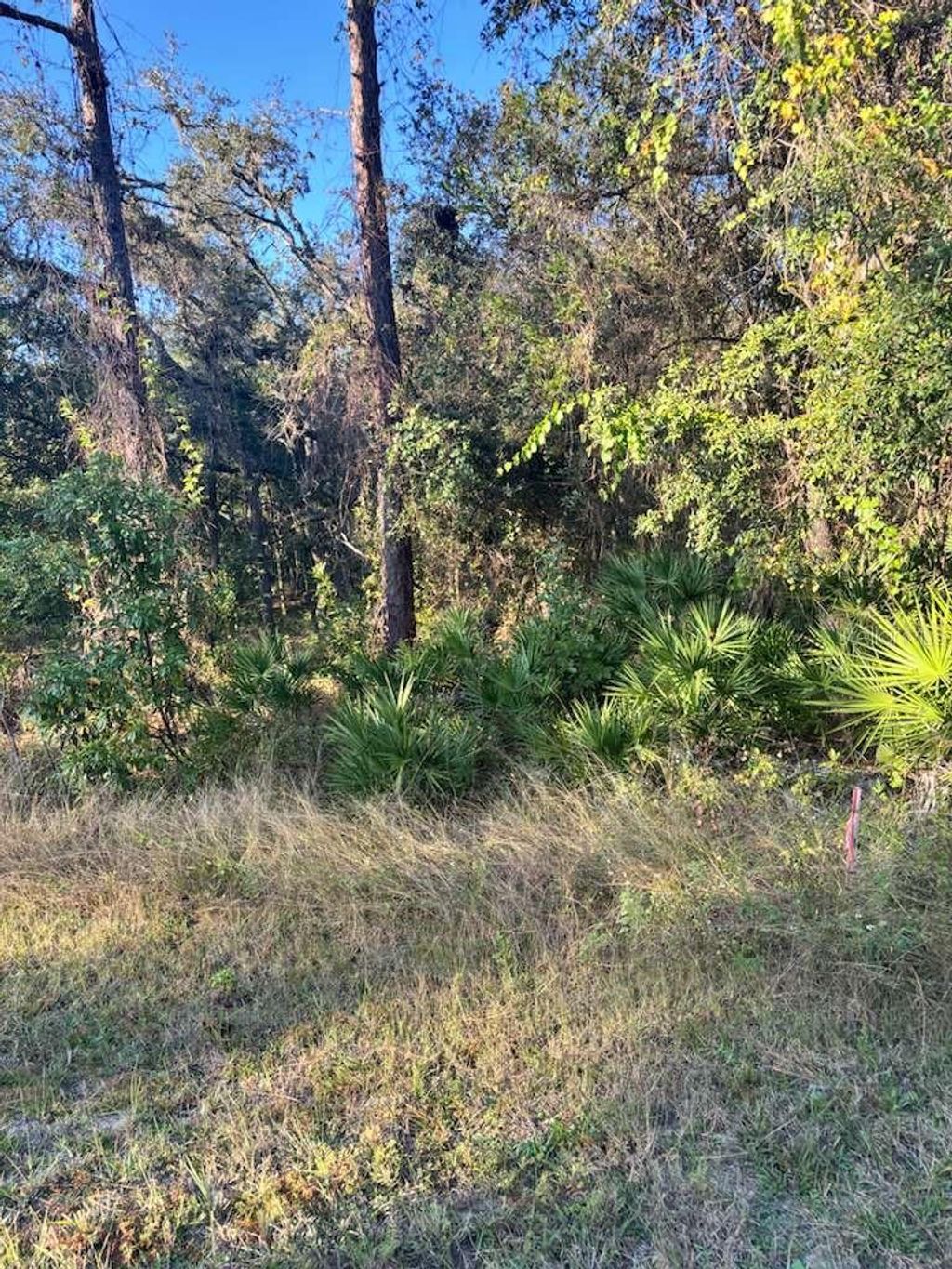 Photo of 33193 Easter Drive, Webster, FL 33597 (MLS # TB8442105)