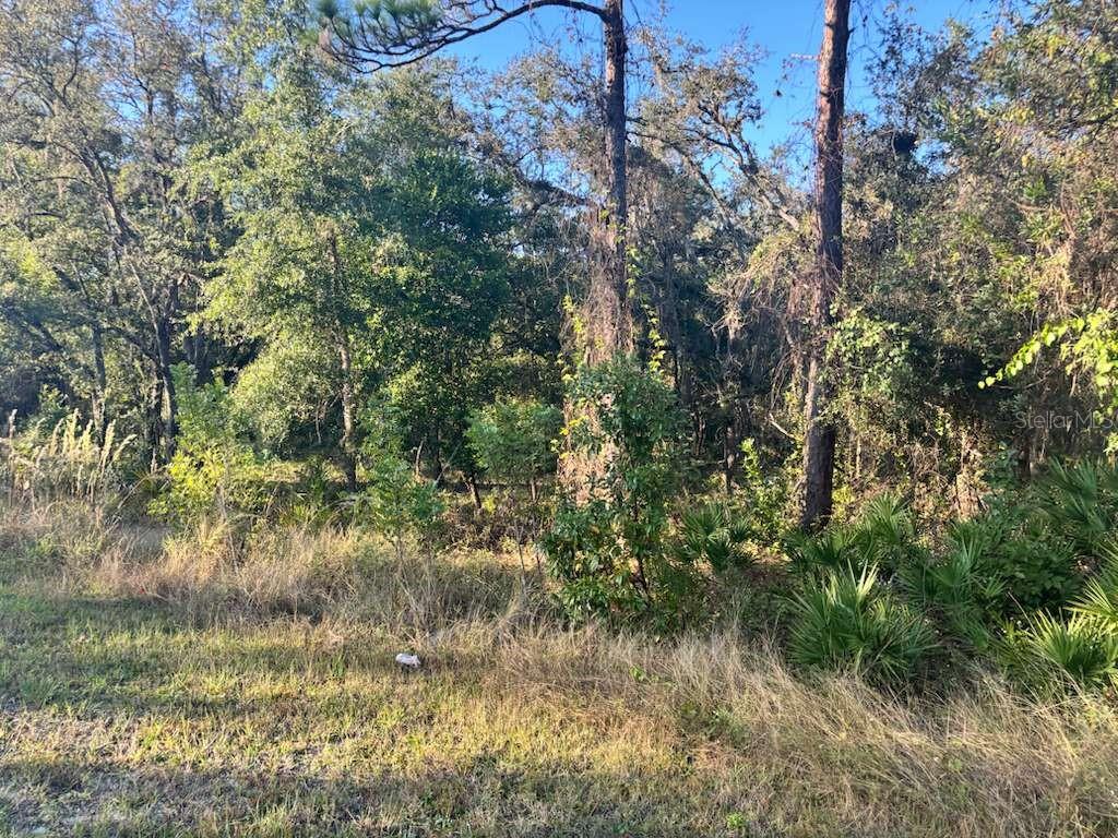 RIDGE MANOR ESTATE - Land