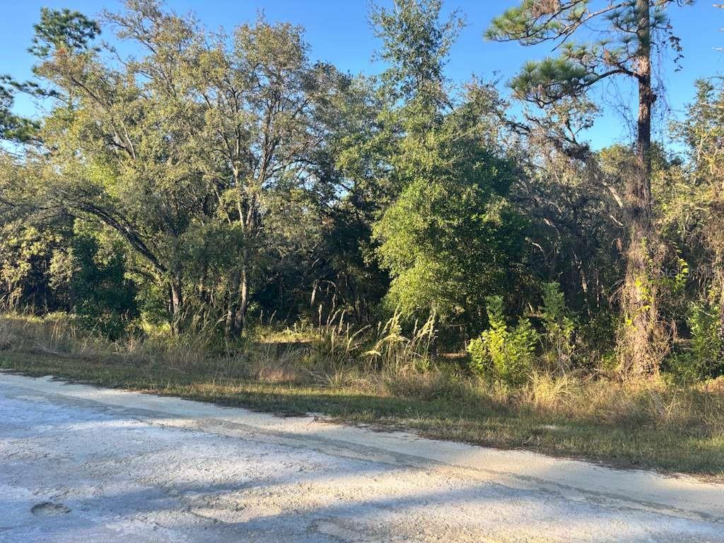 RIDGE MANOR ESTATE - Land