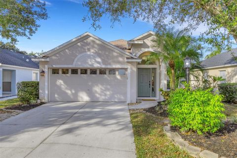 6226 BLUEFLOWER COURT LAKEWOOD RANCH FL 34202