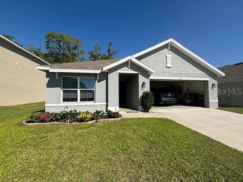 11161 SE 69TH TERRACE BELLEVIEW FL 34420