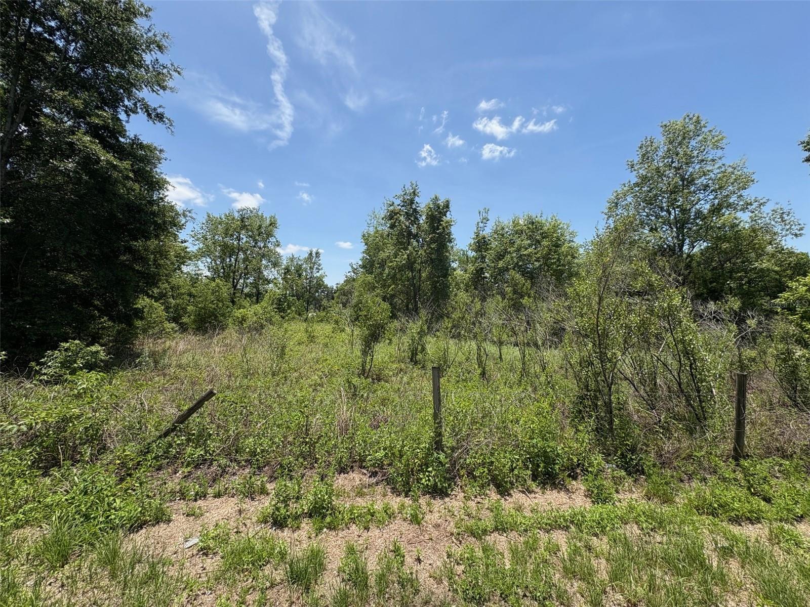 Build your own custom dream home! Approximately 2 acres of land located just a few miles from I-75 with easy access to Tampa, but no traffic on this county road. Not in a flood zone and no deed restrictions. Located just minutes from Historic Downtown Dade City or the bustling shops of Wesley Chapel. Zoned for Agricultural uses; horses, cattle, and fruit groves are permitted here.
