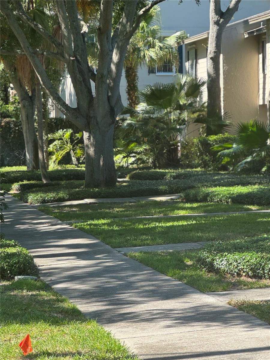 5231 BAYSHORE BOULEVARD 10