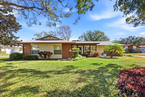 2201 SHELLY DRIVE A PALM HARBOR FL 34684