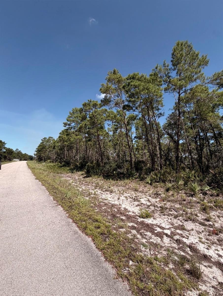 Photo of 7708 Wynn Street, Sebring, FL 33872 (MLS # O6441303)