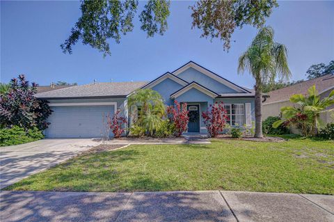 7107 COLONIAL LAKE DR RIVERVIEW FL 33578