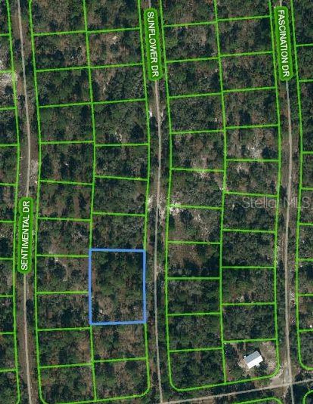 Photo of 244 Sunflower Drive, Lake Placid, FL 33852 (MLS # OM621156)