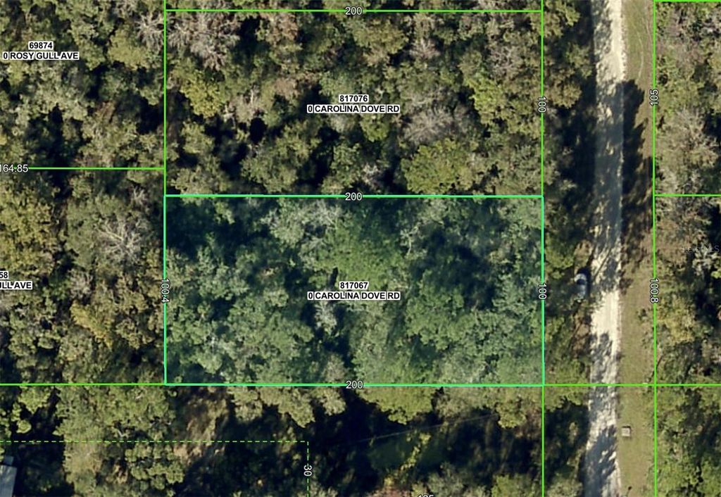 Photo of 3 Carolina Dove Road, Weeki Wachee, FL 34614 (MLS # W7871412)
