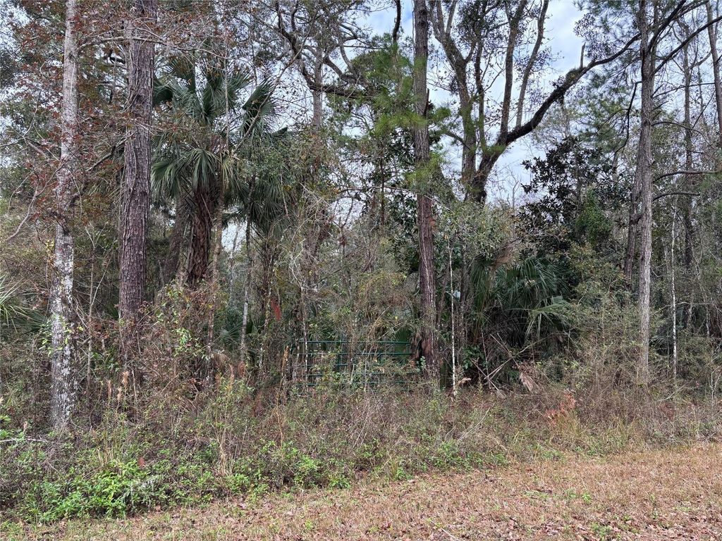 Photo of 3 Carolina Dove Road, Weeki Wachee, FL 34614 (MLS # W7871412)