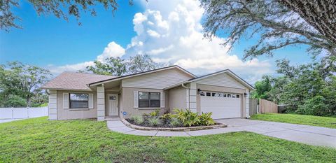 Photo of 23253 Granite Place, Land O Lakes, FL 34639 (MLS # TB8407225) Photo of 23253 Granite Place, Land O Lakes, FL 34639 (MLS # TB8407225)