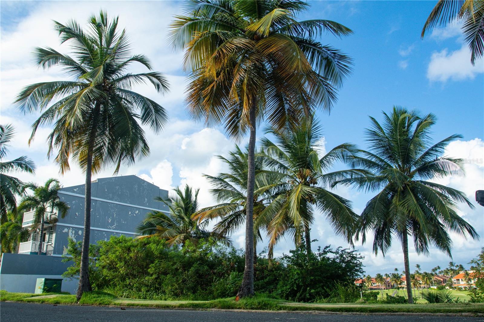 PALMANOVA MONTESOL 11 DEVELOPMENT - Land