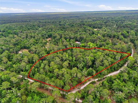 Photo of 7621 NE 108th Avenue, Gainesville, FL 32609 (MLS # GC539787)