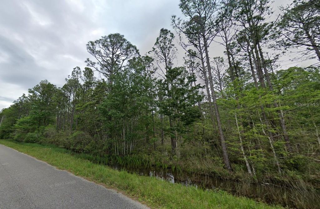 Photo of 00 Pearson Road, Milton, FL 32583 (MLS # O6357750)