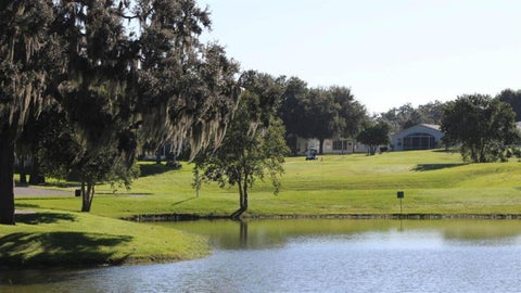 Tiny photo for 124 Trailwood Drive, Leesburg, FL 34748 (MLS # O6453393)