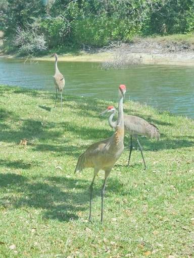 GOLF POINTE AT PALM-AIRE CC SEC III - Residential