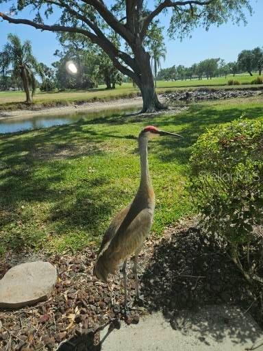 GOLF POINTE AT PALM-AIRE CC SEC III - Residential