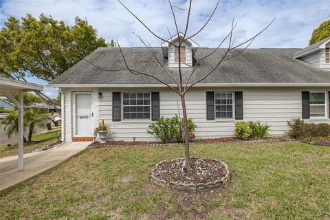 Photo of 6651 Timbercove Lane, New Port Richey, FL 34653 (MLS # TB8491888)