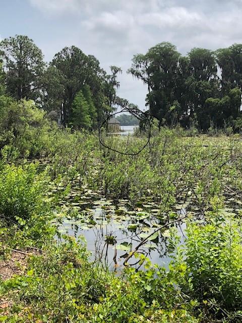 MOON LAKE ESTATES - Land