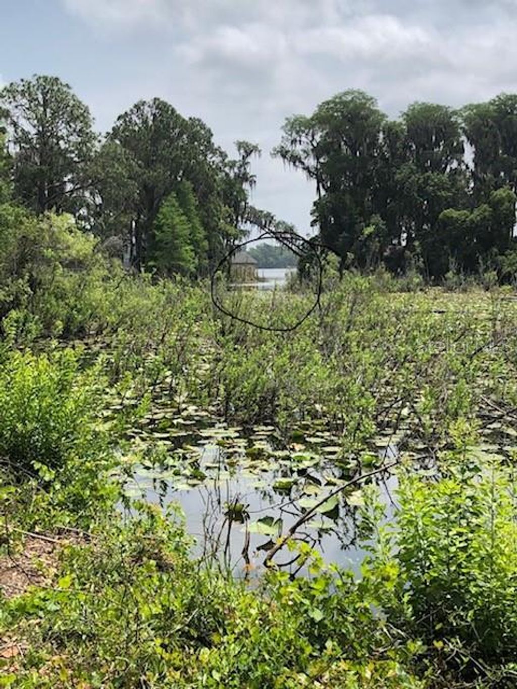Photo of Carver, New Port Richey, FL 34654 (MLS # TB8409821)
