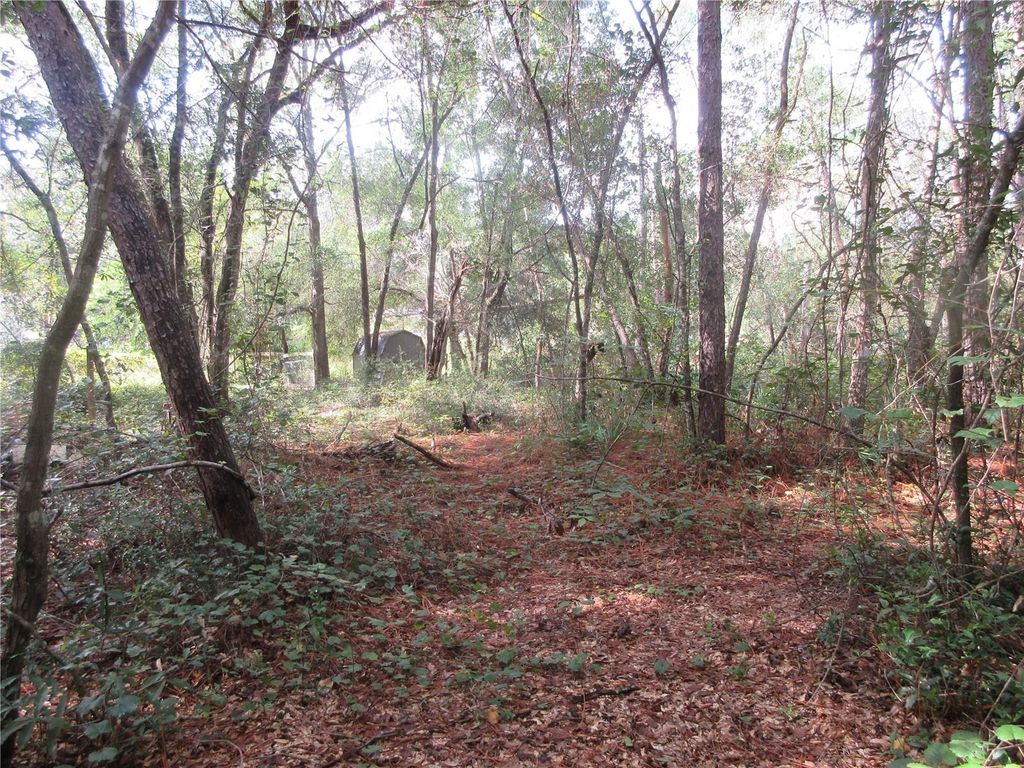 Photo of NE 171st Court, Silver Springs, FL 34488 (MLS # OM711560)