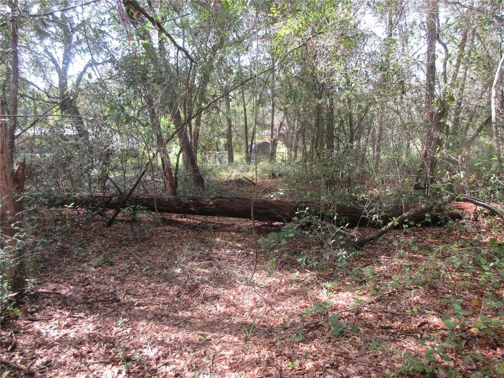 Photo of NE 171st Court, Silver Springs, FL 34488 (MLS # OM711560)