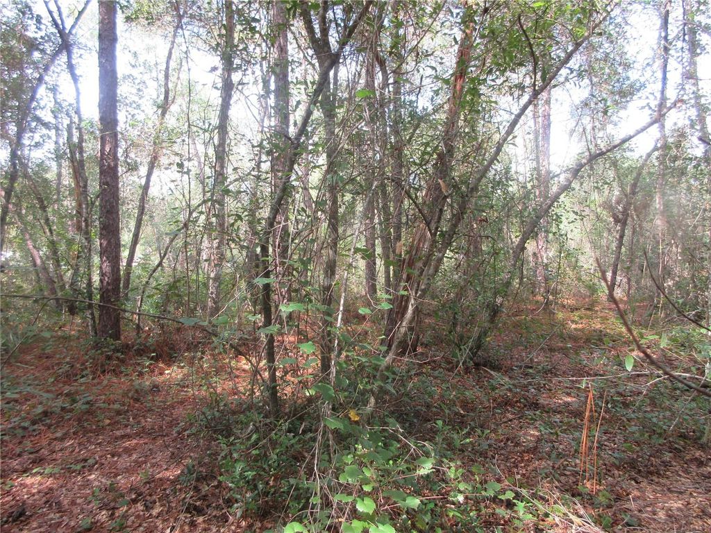 Photo of NE 171st Court, Silver Springs, FL 34488 (MLS # OM711560)