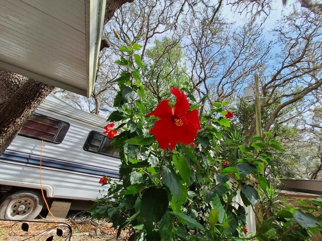 Photo 17 of 19 of 3000 CLARCONA ROAD 468 mobile home