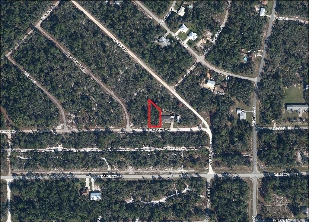 Photo of 3215 Gossamer Avenue, Lake Placid, FL 33852 (MLS # L4952253)