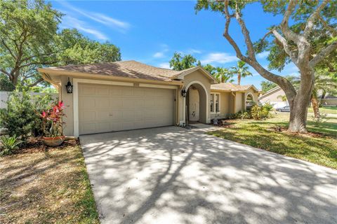 Photo of 5810 Bitter Orange Avenue, Tampa, FL 33625 (MLS # TB8498828)
