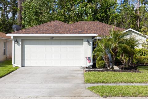 341 DAHOON HOLLY DRIVE DAYTONA BEACH FL 32117