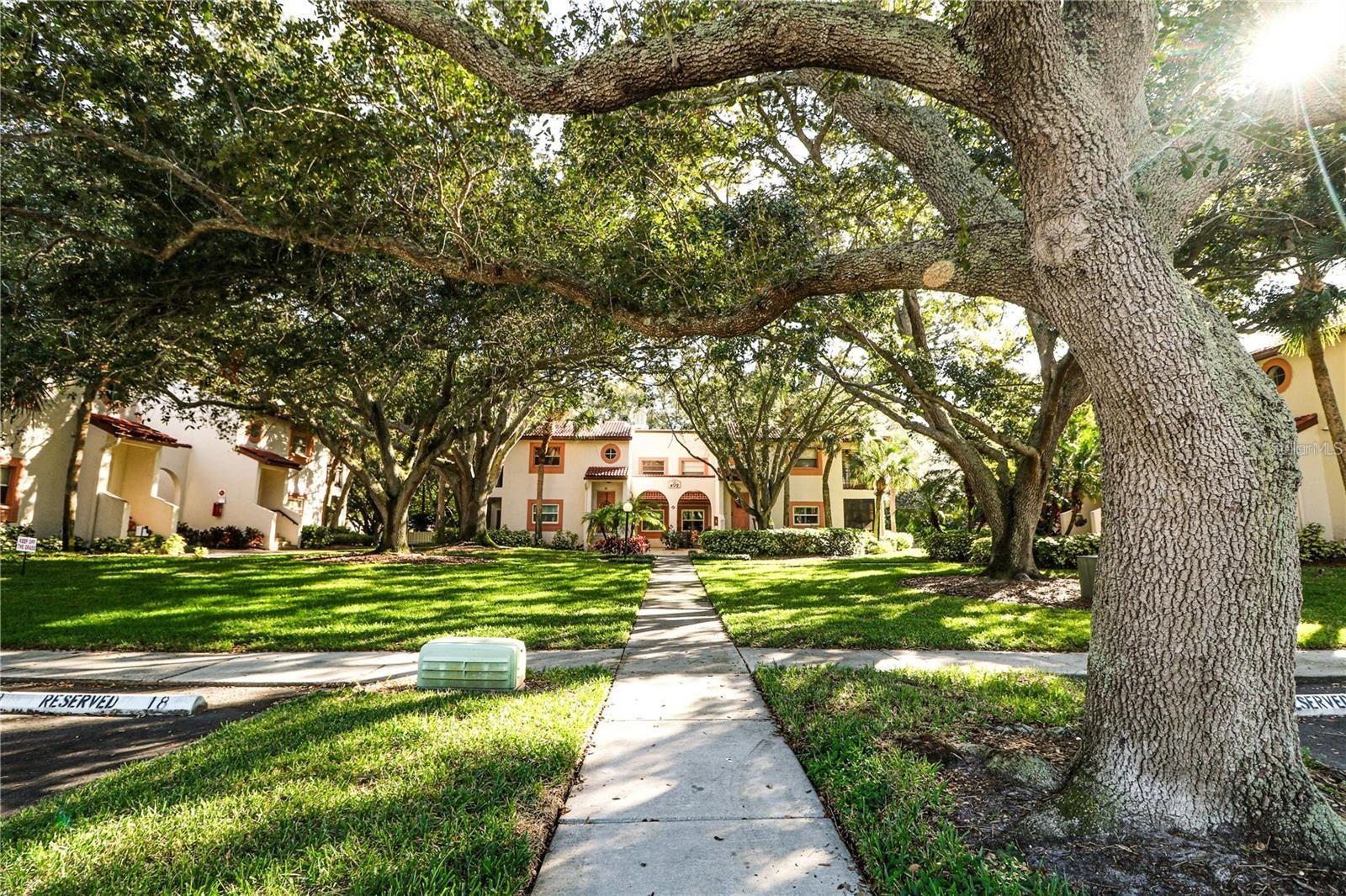 PLACIDO BAYOU - Residential