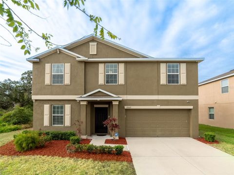 12607 FLATWOOD CREEK DRIVE GIBSONTON FL 33534