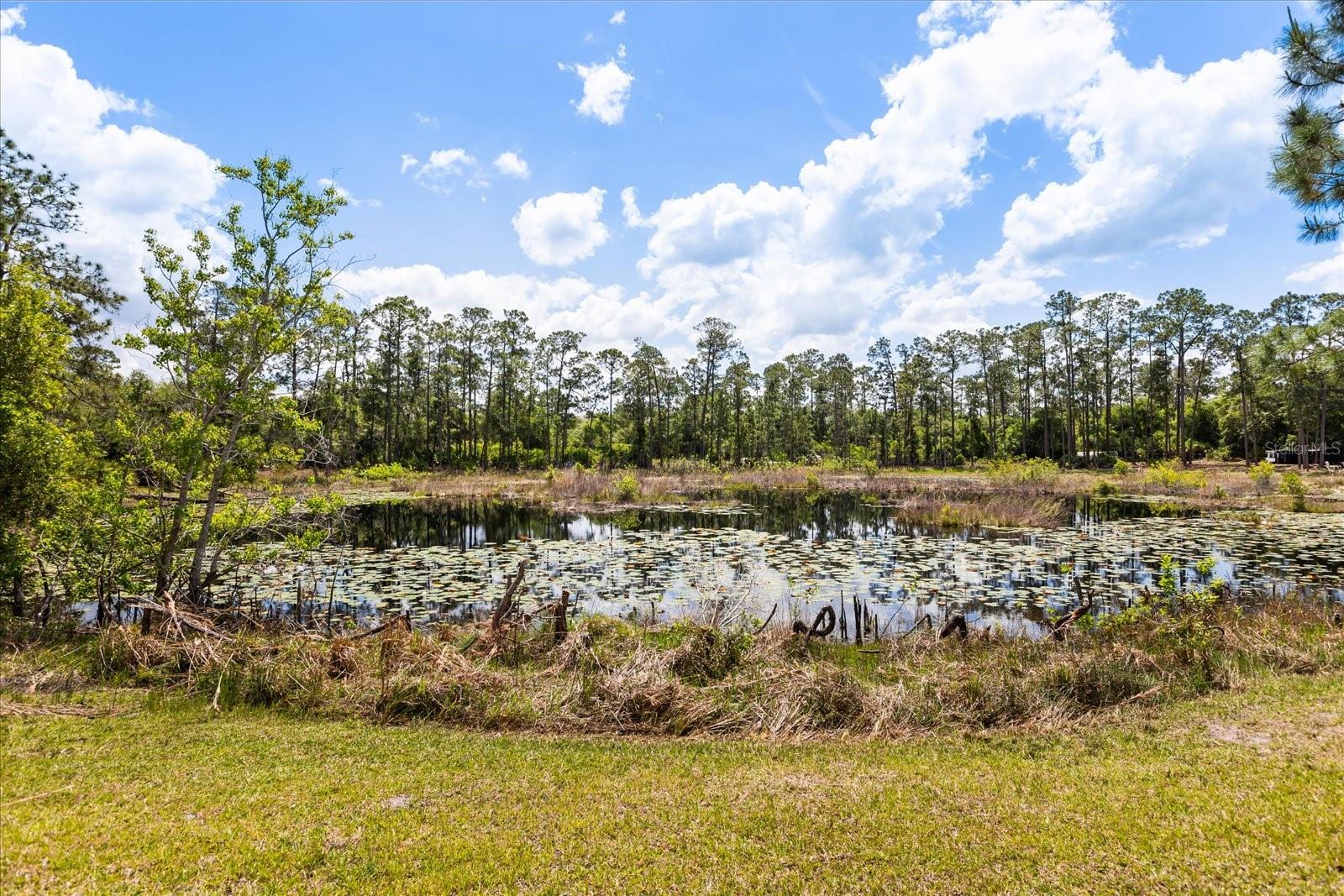 SEMINOLE WOODS 5 AC DEV - Residential