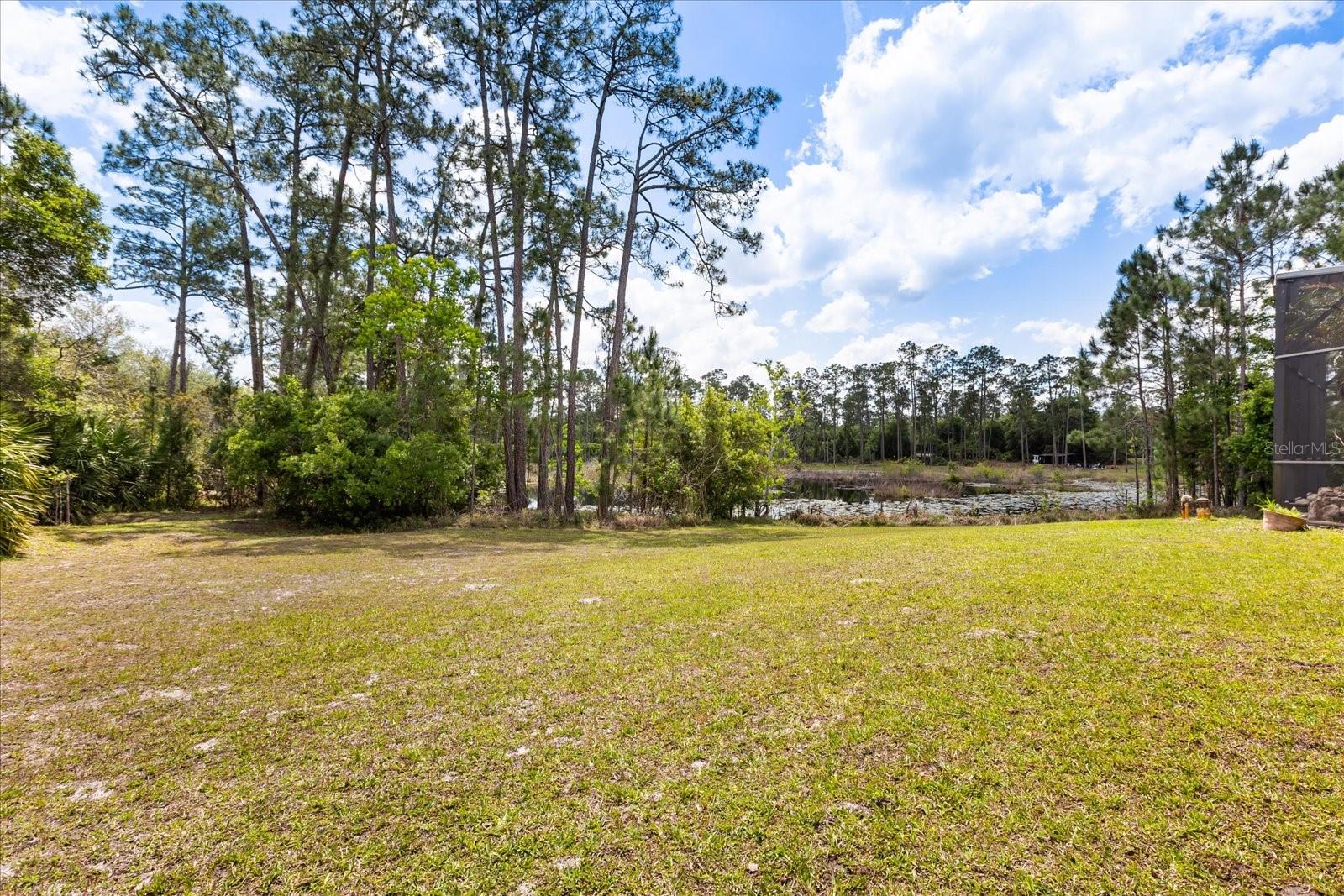 SEMINOLE WOODS 5 AC DEV - Residential