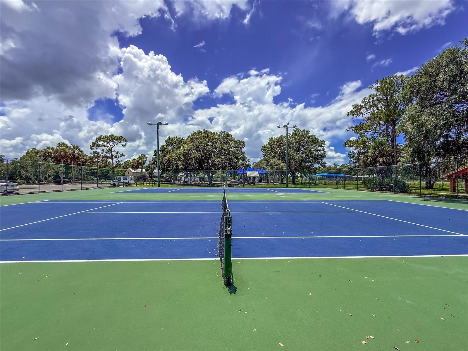 MAGNOLIA PLACE - Residential