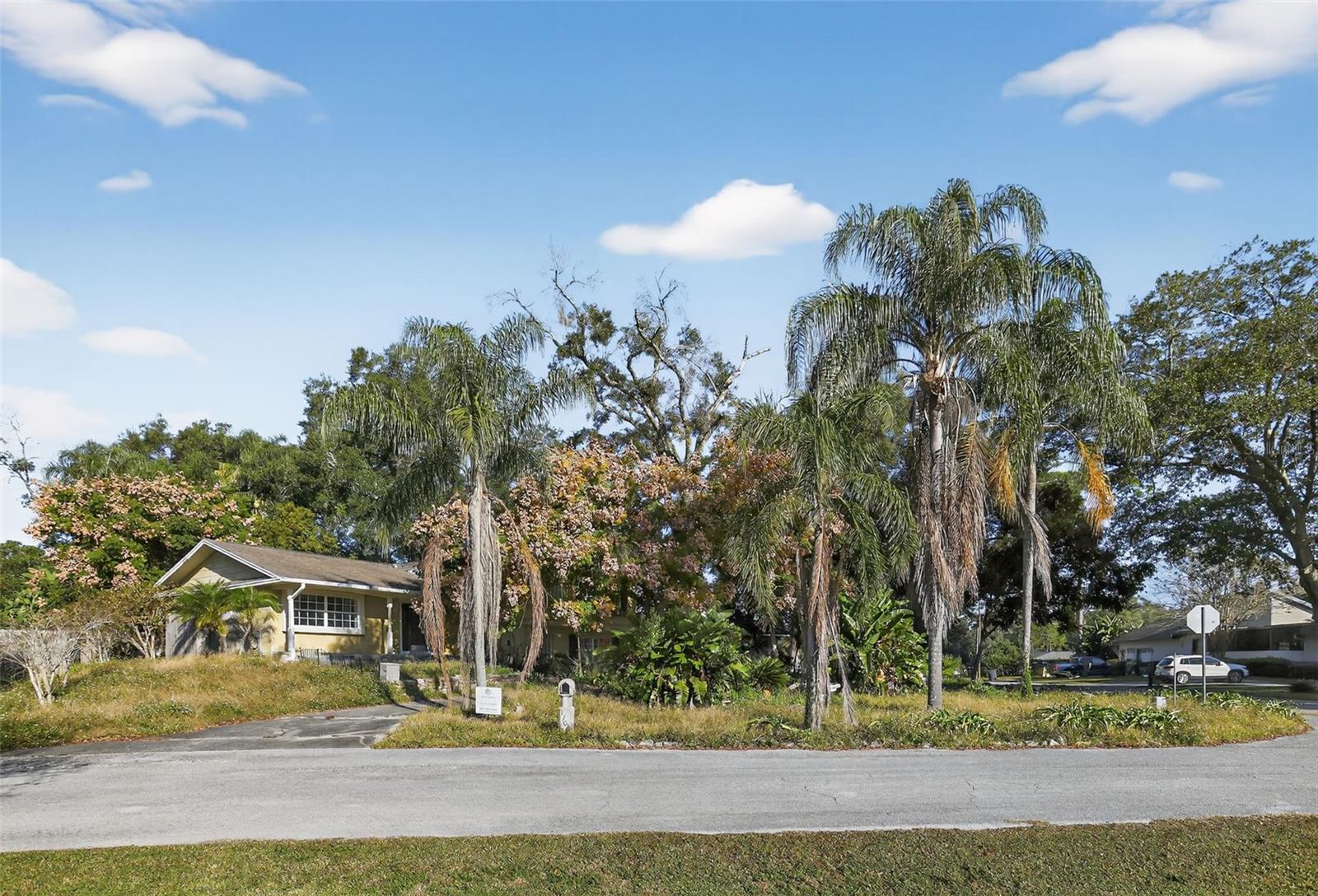 SANLANDO SPGS - Residential