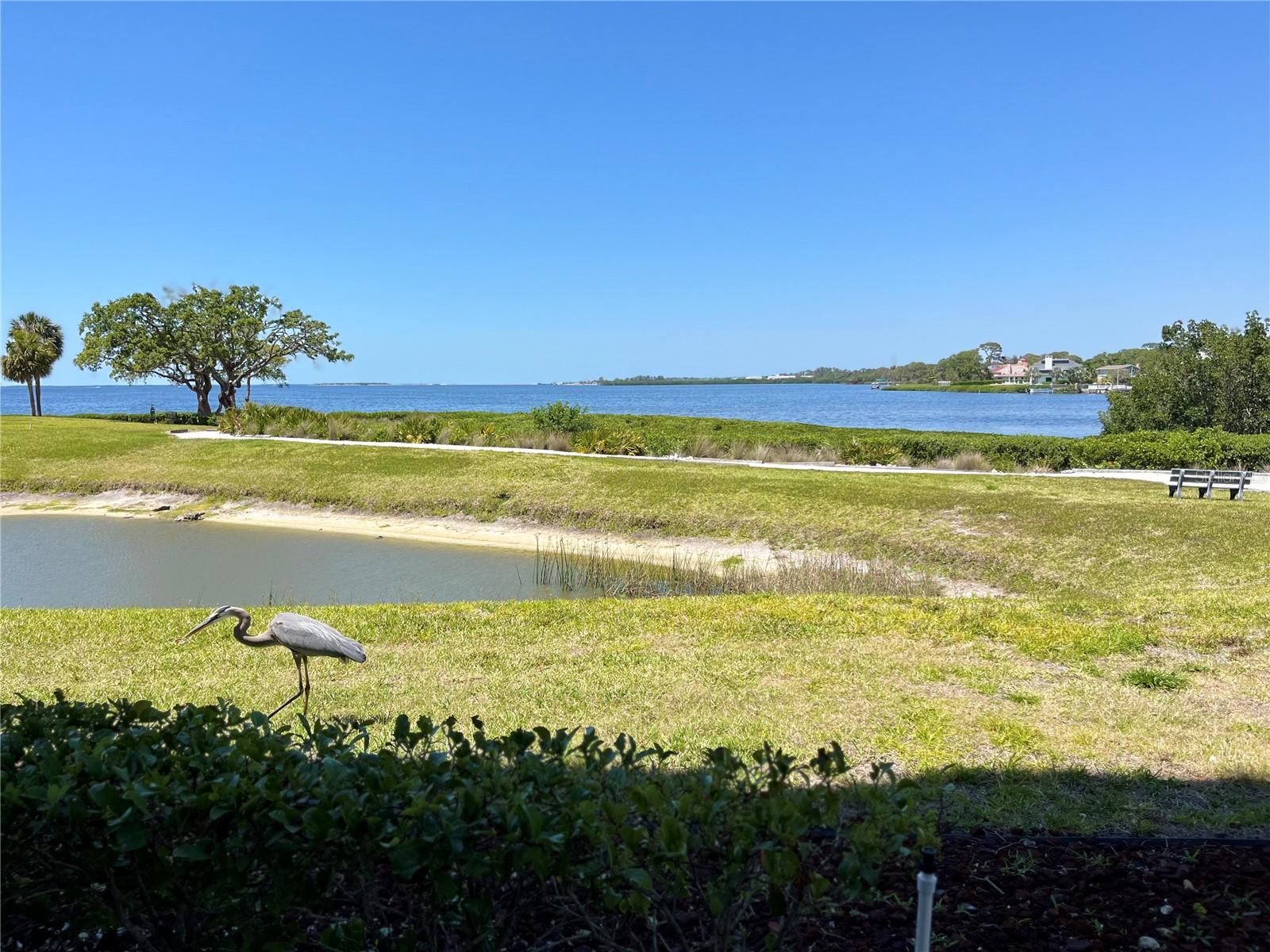 MARINER VILLAGE NORTHWEST CONDO - Residential