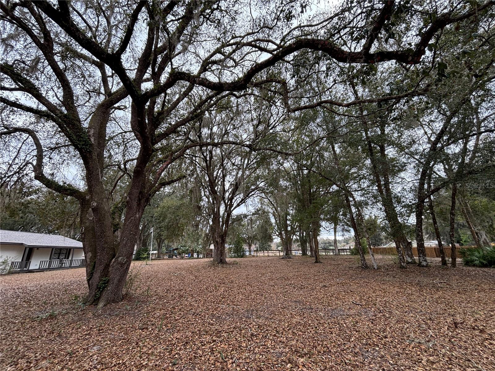 MEADOWBROOK RANCHES - Residential
