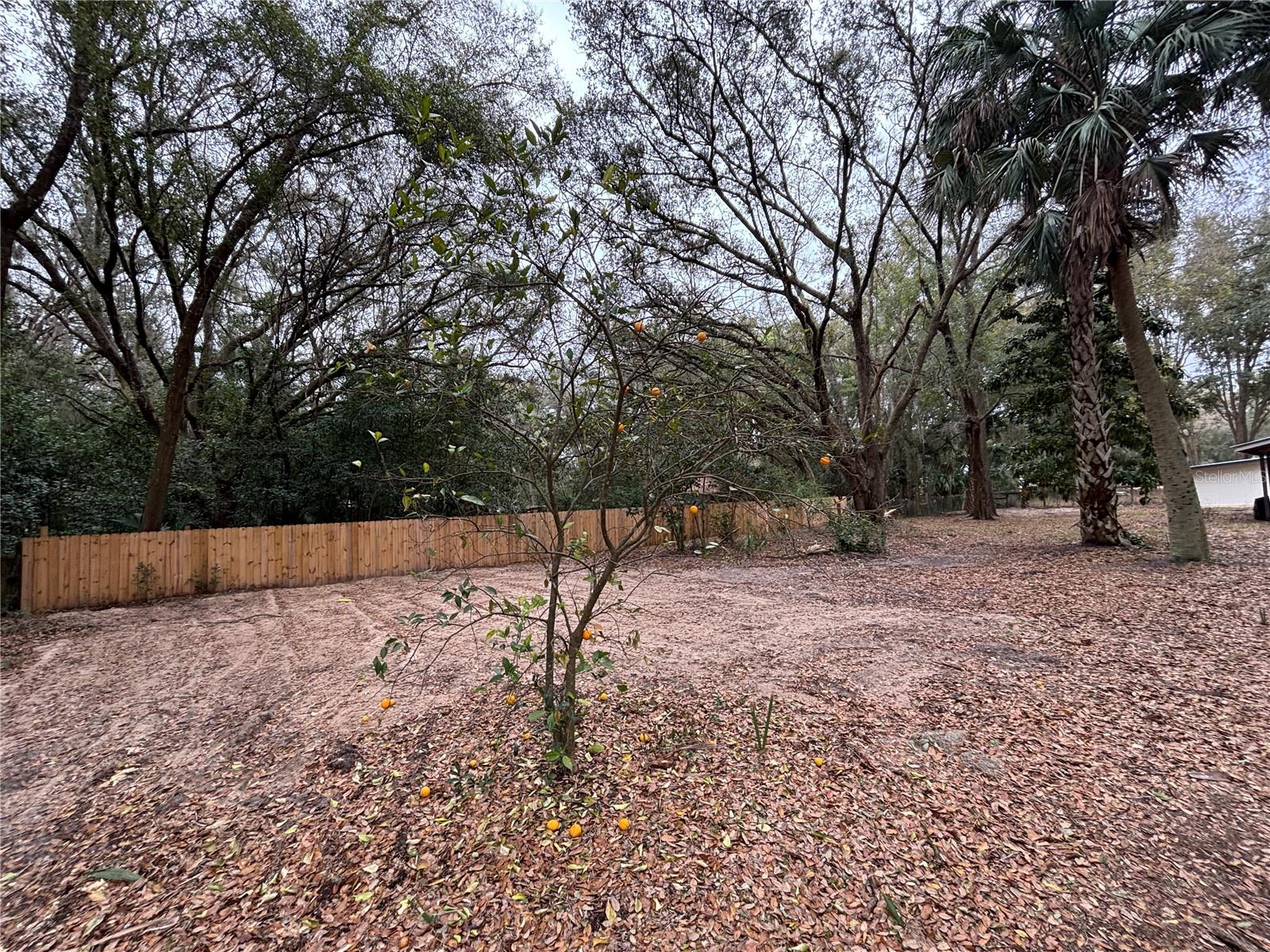 MEADOWBROOK RANCHES - Residential