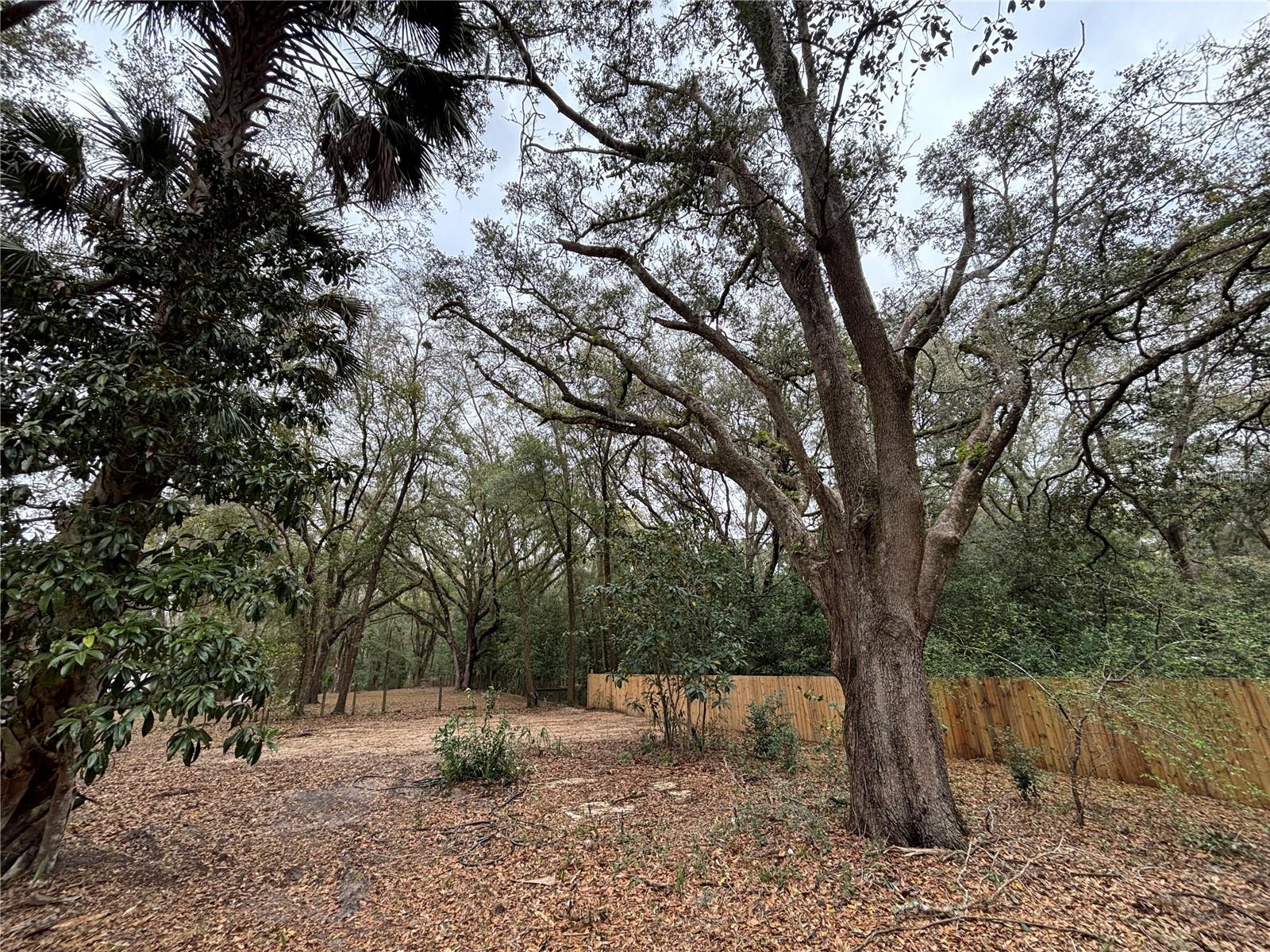 MEADOWBROOK RANCHES - Residential