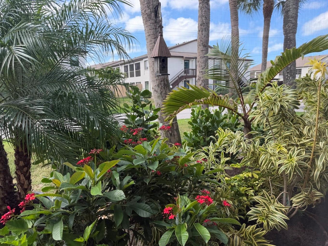 SABAL PALM GARDENS PH I - Residential