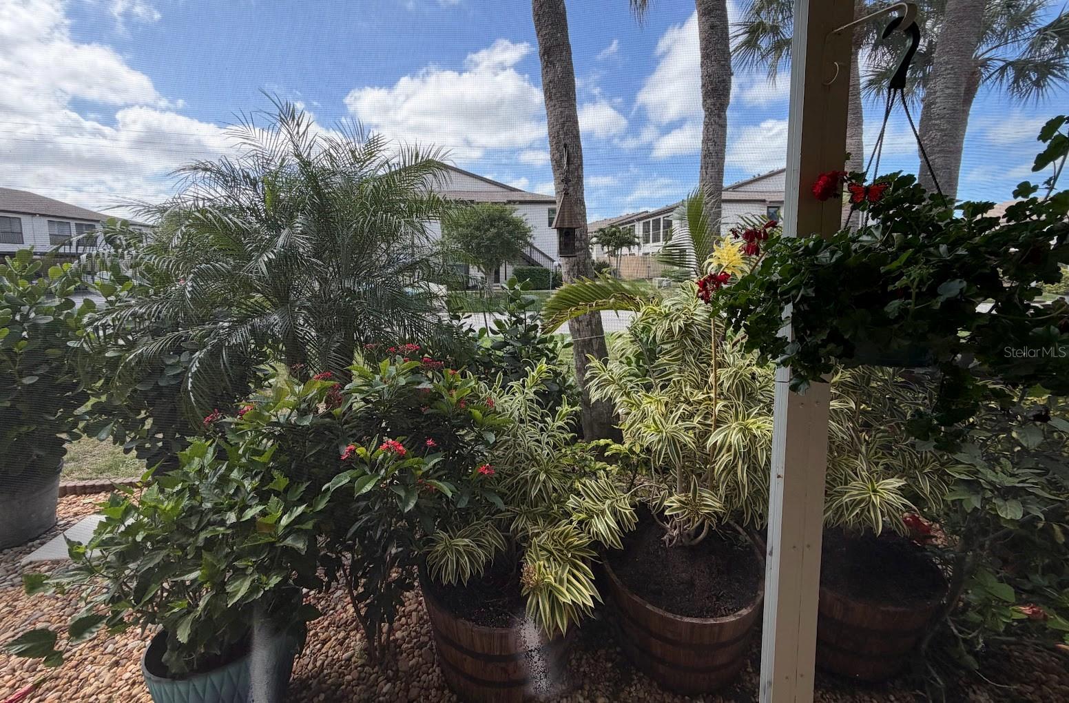 SABAL PALM GARDENS PH I - Residential